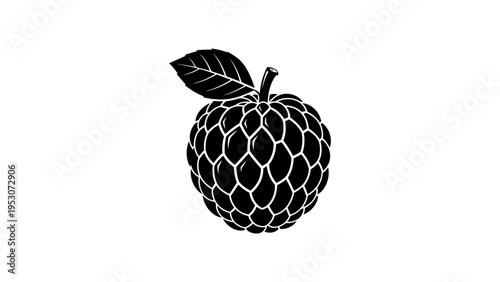 Black silhouette of raspberry with leaf on white background