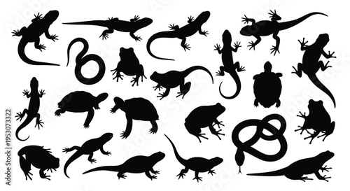 Diverse collection of black silhouette lizards and reptile illustrations