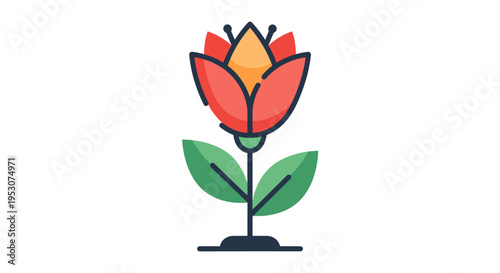 Colorful Tulip Flower Closeup View.