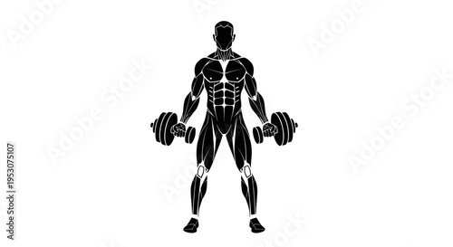 Muscular man holding dumbbells, anatomical illustration, fitness and workout concept
