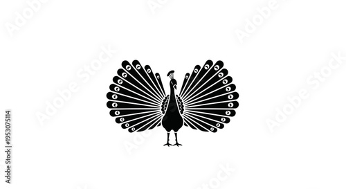 Black peacock silhouette displaying fanned tail feathers on white background