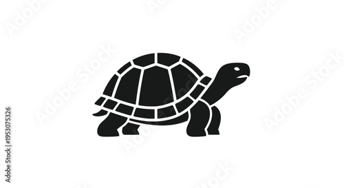 Black silhouette of a tortoise on a white background