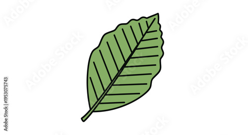 Green leaf illustration with veins.