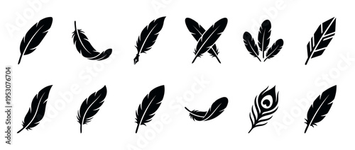 Collection of various black feather icons and silhouettes, featuring different styles including quill pens and peacock feathers, presented in a clean graphic design