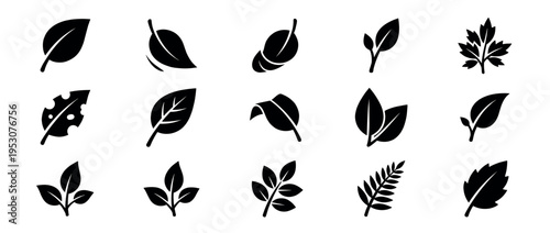 Fifteen diverse black silhouette leaf icons are presented in a clean, graphic, and minimalist style, showcasing various organic shapes and natural forms