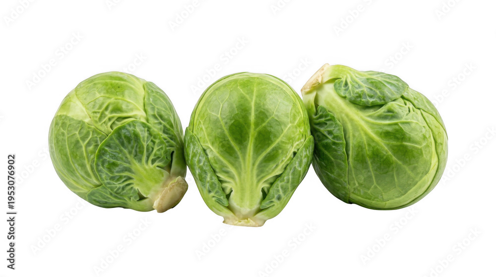 Fototapeta premium Vibrant green fresh Brussels sprouts neatly displayed on a pure black background Bright studio illumination highlights their healthy texture and clean