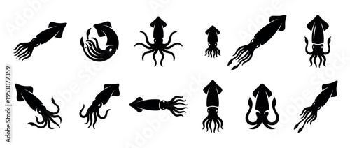 Multiple black silhouette squid icons are depicted in various graphic styles and dynamic poses, showcasing different cephalopod shapes with a clean, minimalist aesthetic