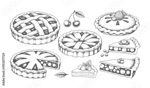 Hand drawn assortment of fruit pies and slices with berries and cherries berry cherry