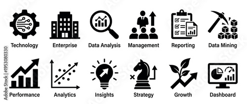 Twelve black and white business concept icons are neatly arranged in a grid, featuring symbols for technology, data, management, and growth, presented in a clean, modern vector style