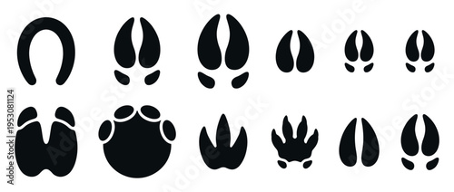 Various black animal footprints and tracks, including distinct hooves and paws, are neatly arranged as graphic silhouettes in an illustrative style