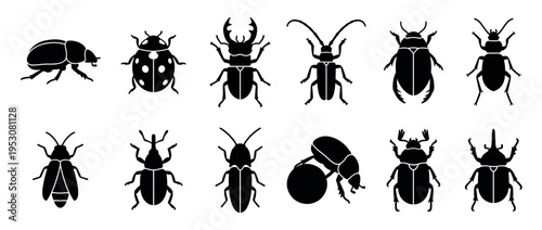 Various black silhouette beetle icons showcasing different insect species and shapes in a clean, graphic, and detailed illustration style