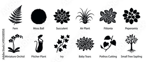 Twelve black silhouette plant icons are neatly arranged in a grid, showcasing various popular houseplants and garden flora in a graphic, minimalist style