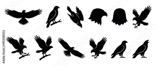 Collection of black eagle bird silhouettes in various dynamic poses, including flying, perched, diving, and head profiles, presented in a graphic vector style