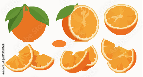 Orange Fruit Set Whole Half and Slices with Leaves Vector Illustration