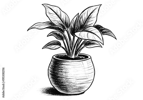 Sketch of a lush green potted plant with broad leaves and a textured ceramic pot