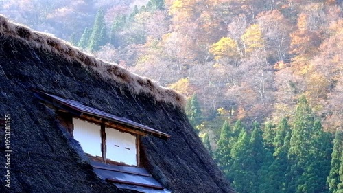 Wallpaper Mural 五箇山合掌造り集落相倉　世界遺産新緑の季節 Torontodigital.ca