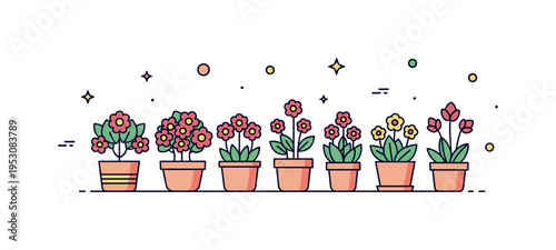Ornamental plant nursery concept centered on a display of potted flowering plants arranged in a tidy row, symbolizing retail presentation and botanical