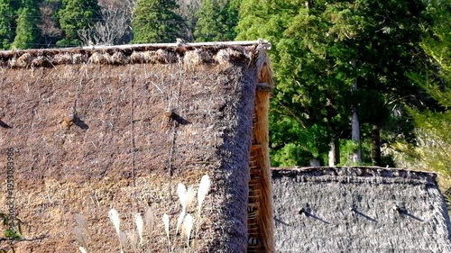 Wallpaper Mural 五箇山合掌造り集落相倉　世界遺産新緑の季節 Torontodigital.ca