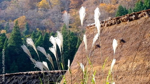Wallpaper Mural 五箇山合掌造り集落相倉　世界遺産新緑の季節 Torontodigital.ca