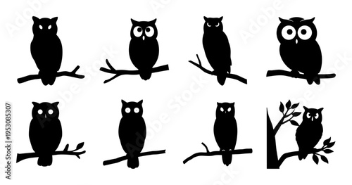 Variety of Silhouetted Owls Perched on Branches Against a White Background
