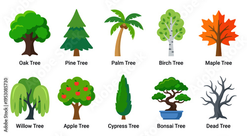 A collection of ten different cartoon-style trees including oak, pine, palm, birch, maple, willow, apple, cypress, bonsai, and dead trees.