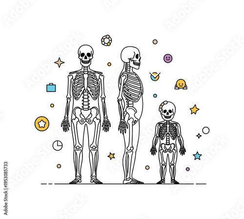 Side-by-side adult and child skeletons showing growth and proportion differences, illustrating development, anatomy, and skeletal structure. Minimalist flat