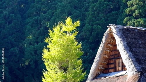 Wallpaper Mural 五箇山合掌造り集落相倉　世界遺産新緑の季節 Torontodigital.ca