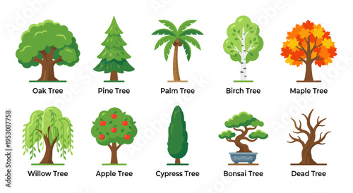 A flat design illustration showcases ten different tree species, including oak, pine, palm, birch, maple, willow, apple, cypress, bonsai, and a dead tree.