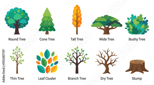 A flat design illustration showcases various tree types including round, cone, tall, wide, and bushy, along with thin, leaf cluster, branch, dry trees and a stump.