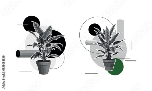 Black and white indoor plants in vintage pots, leaves overlapping bold circular halos and abstract cylindrical shapes, minimal linear accents creating balance,