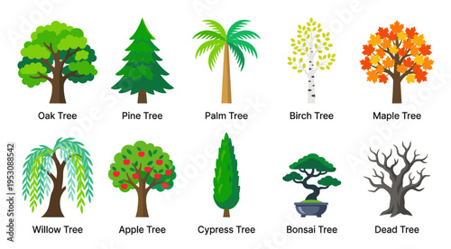 A collection of ten different illustrated trees, each representing a unique species and season, set against a white background.