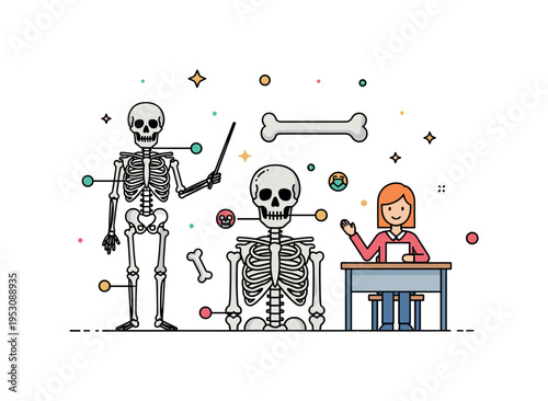 A skeleton holding a pointer next to labeled bones in a classroom setting, representing teaching, human anatomy, and biological education. Minimalist flat