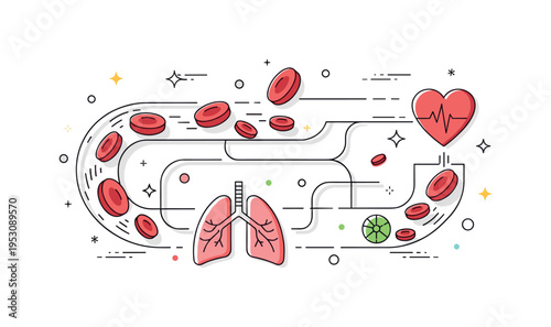 Oxygen transport concept illustrated through red blood cell icons flowing along a curved vessel path connected to simplified lung and heart symbols,