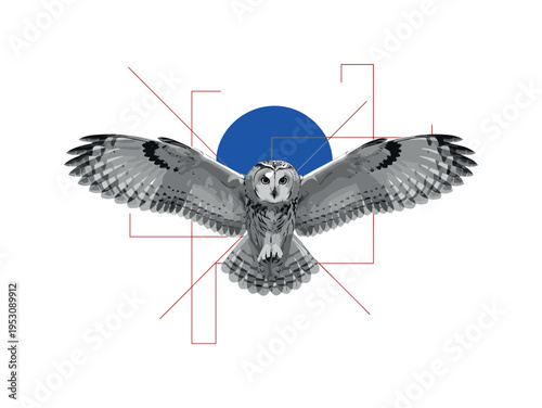 Conceptual wildlife documentation theme featuring a monochrome owl spreading wings dramatically, vivid cobalt circular halo behind, intersecting red linear