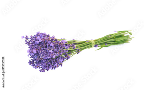 A fresh lavender bouquet with purple flowers lies on a clean white background. 