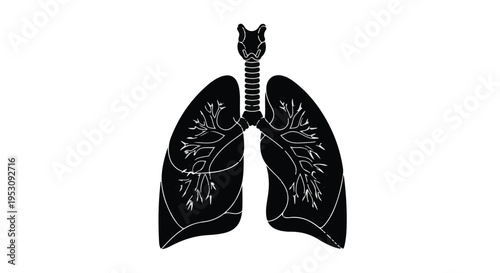 Human lungs silhouette showing bronchial tree isolated on white background