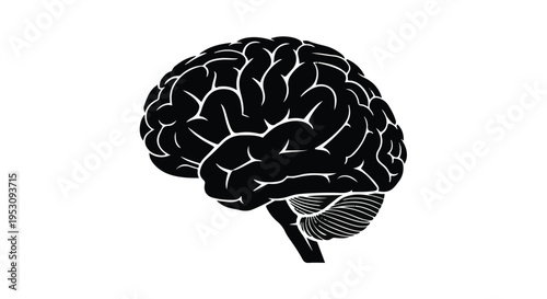 Black and white brain illustration with detailed anatomy on clean white background for medical education and healthcare concepts