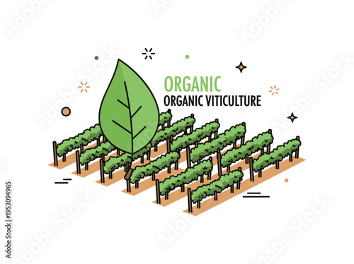 Organic viticulture leaf icon integrated with vineyard rows arranged in tidy perspective. A fresh editorial concept emphasizing sustainability and natural