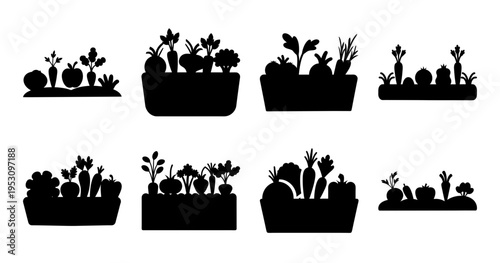 Black Silhouette Images of Harvested Vegetables in Planters and in the Garden
