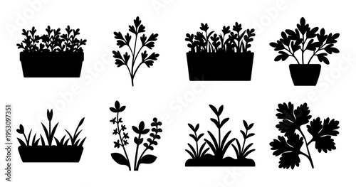 Black and white vector illustration showcasing a variety of potted plants silhouettes