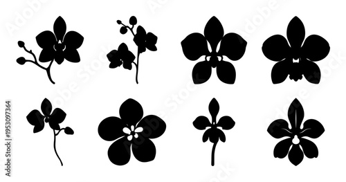 Silhouette Assortment of Exotic Orchid Blooms and Branches Botanical Illustration