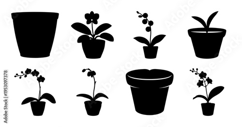 Silhouette Collection of Potted Plants and Orchids for Home Decor