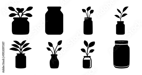 Diverse collection of silhouette jars and vases containing plant life elements