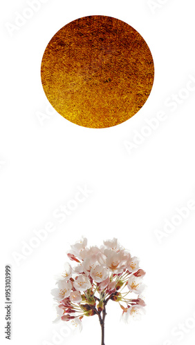 満月もしくは太陽と桜