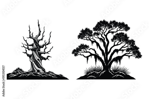Silhouette of dead tree and oak tree