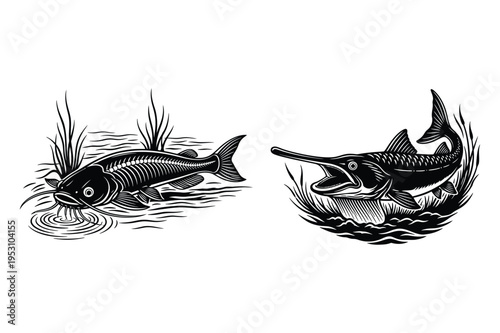 Fish and swordfish silhouette illustration