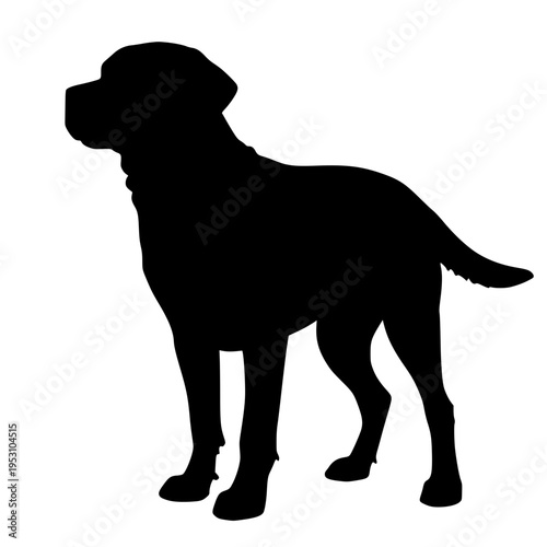 Dog SVG, Dgo Vector,, Different Dog Breeds, Cute Puppy Svg, Puppies Silhouette Svg, Puppy Vector Files, Dog Lover Svg,