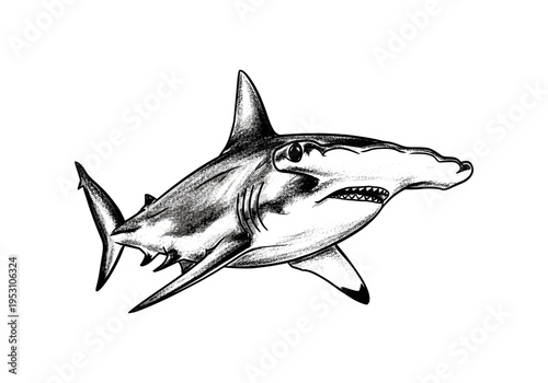 Detailed ink sketch of a hammerhead shark swimming in the ocean, black and white illustration