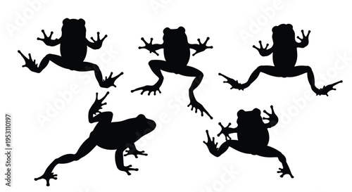 Five frogs in dynamic black silhouette poses on a plain background