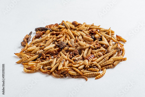 Enjoying the crunch of roasted insects showcasing a unique culinary tradition